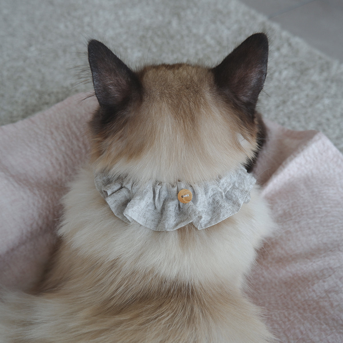 Cat-friendly cotton collar/frill [Liberty/Floral Impression]