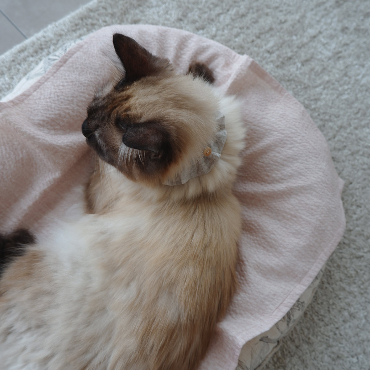 Cat-friendly cotton collar/frill [Liberty/Floral Impression]