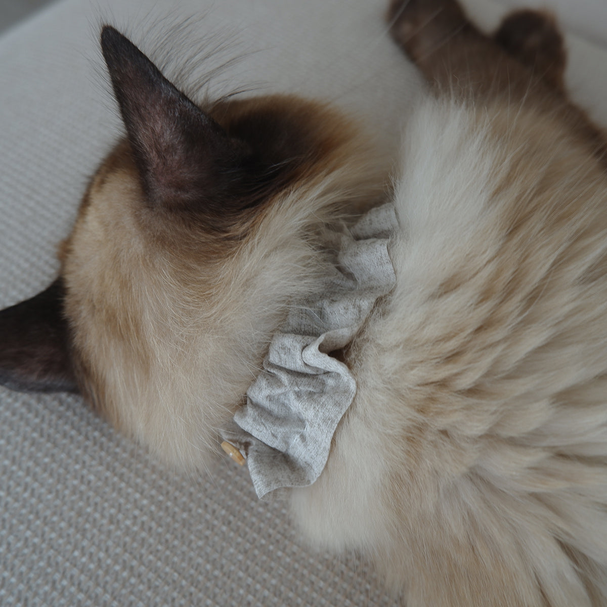 Cat-friendly cotton collar/frill [Liberty/Floral Impression]
