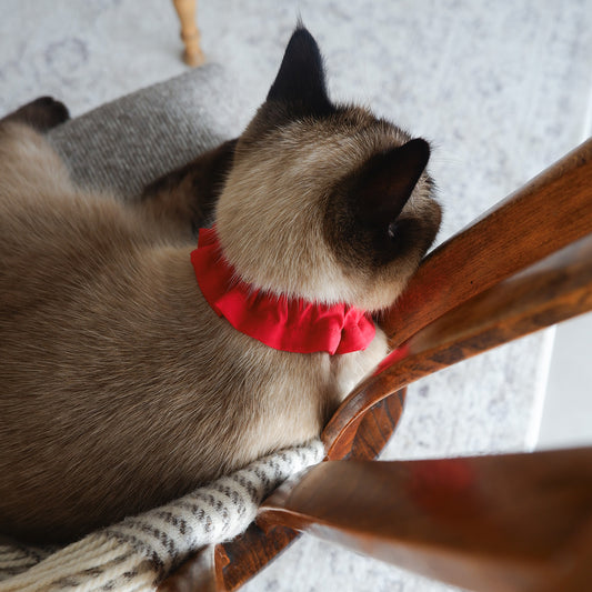 猫にやさしいコットン首輪/フリル【Red】