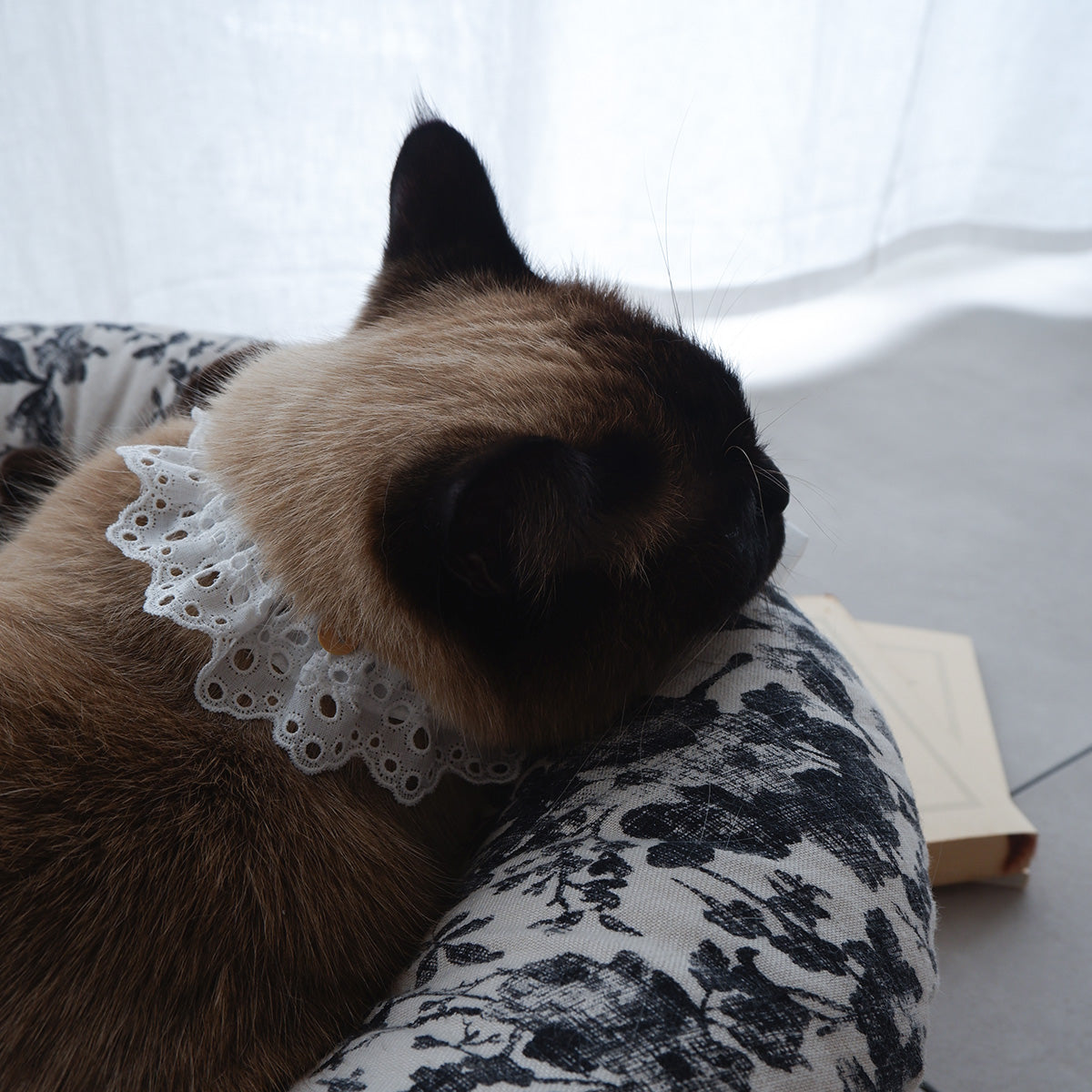 パネル猫ちゃん　黒猫ちゃん　フリルトートバッグ　レースフリル　グリーン　ラメ 猫にやさしいコットン首輪/フリル【Embroidery Lace/White】｜猫の