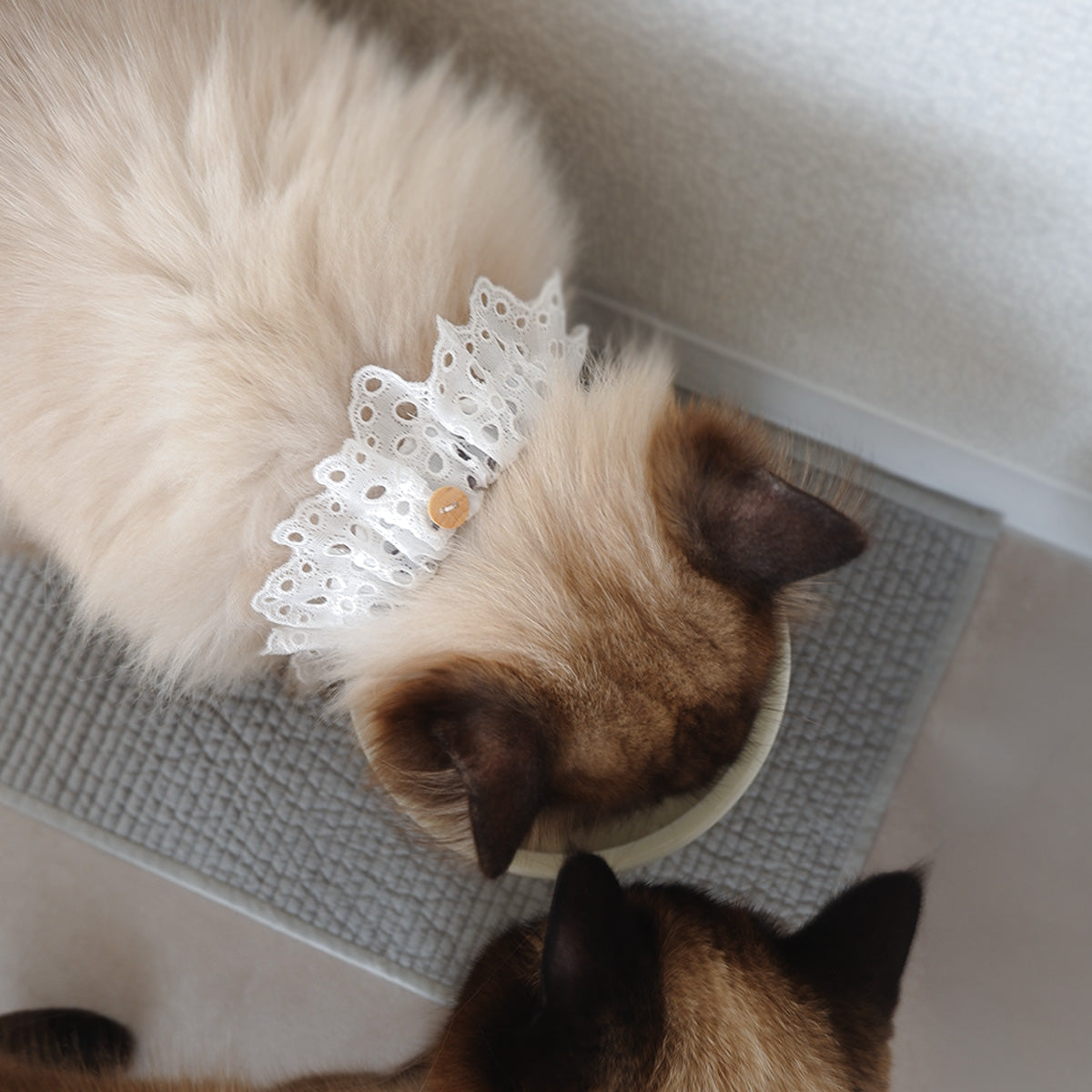 猫にやさしいコットン首輪/フリル【Embroidery Lace/White】｜猫の