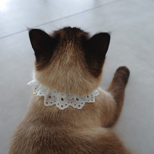 猫にやさしいコットン首輪/フリル【Embroidery Lace/White】