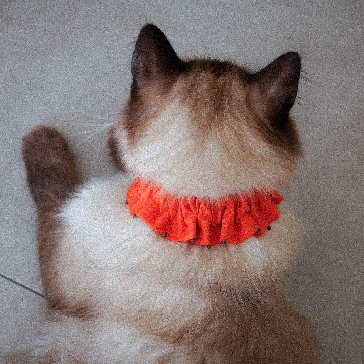 フレンチノット刺繍のフリル首輪【Orange/MW】
