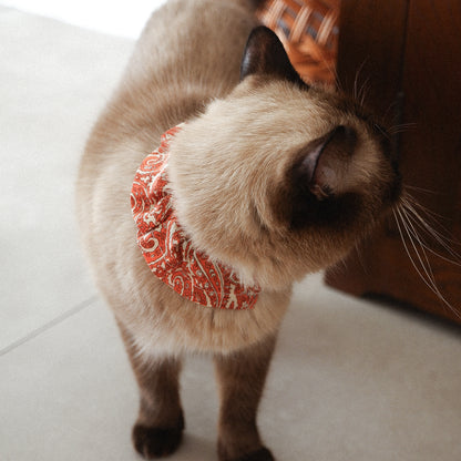 猫にやさしいコットン首輪/フリル【Paisley scarf/OR】