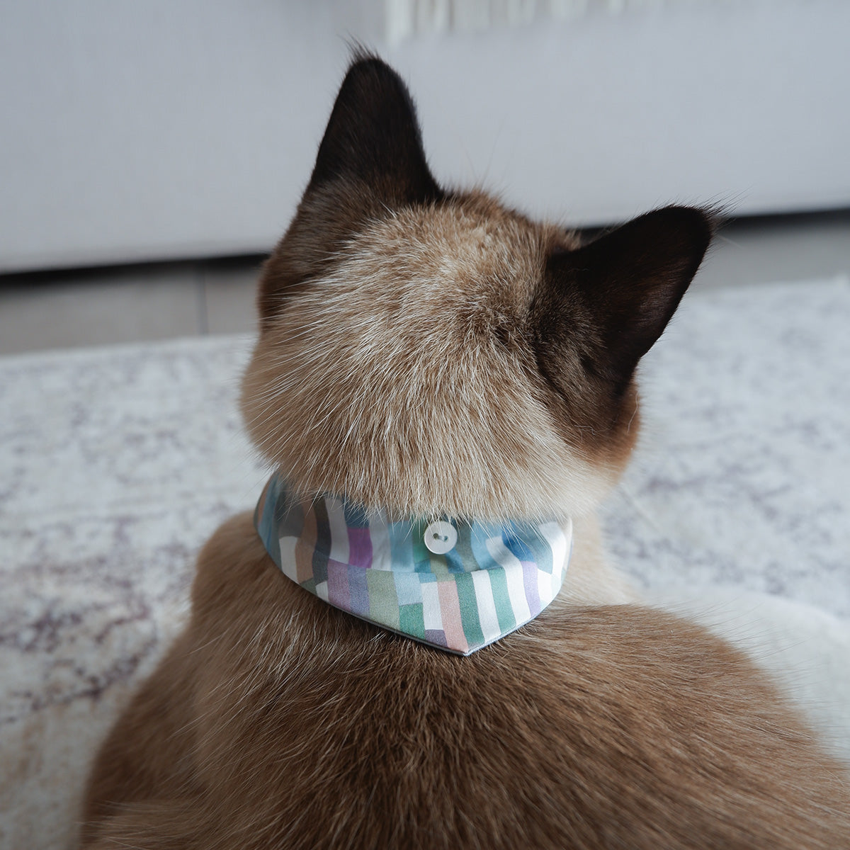 猫にやさしいスタイカラー【Liberty/Maksimus BU】