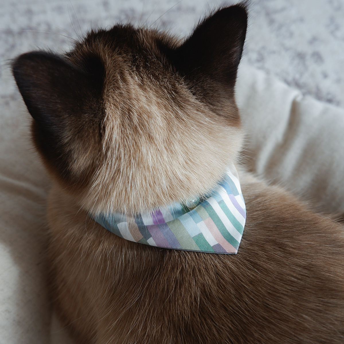 猫にやさしいスタイカラー【Liberty/Maksimus BU】｜猫の日用品店