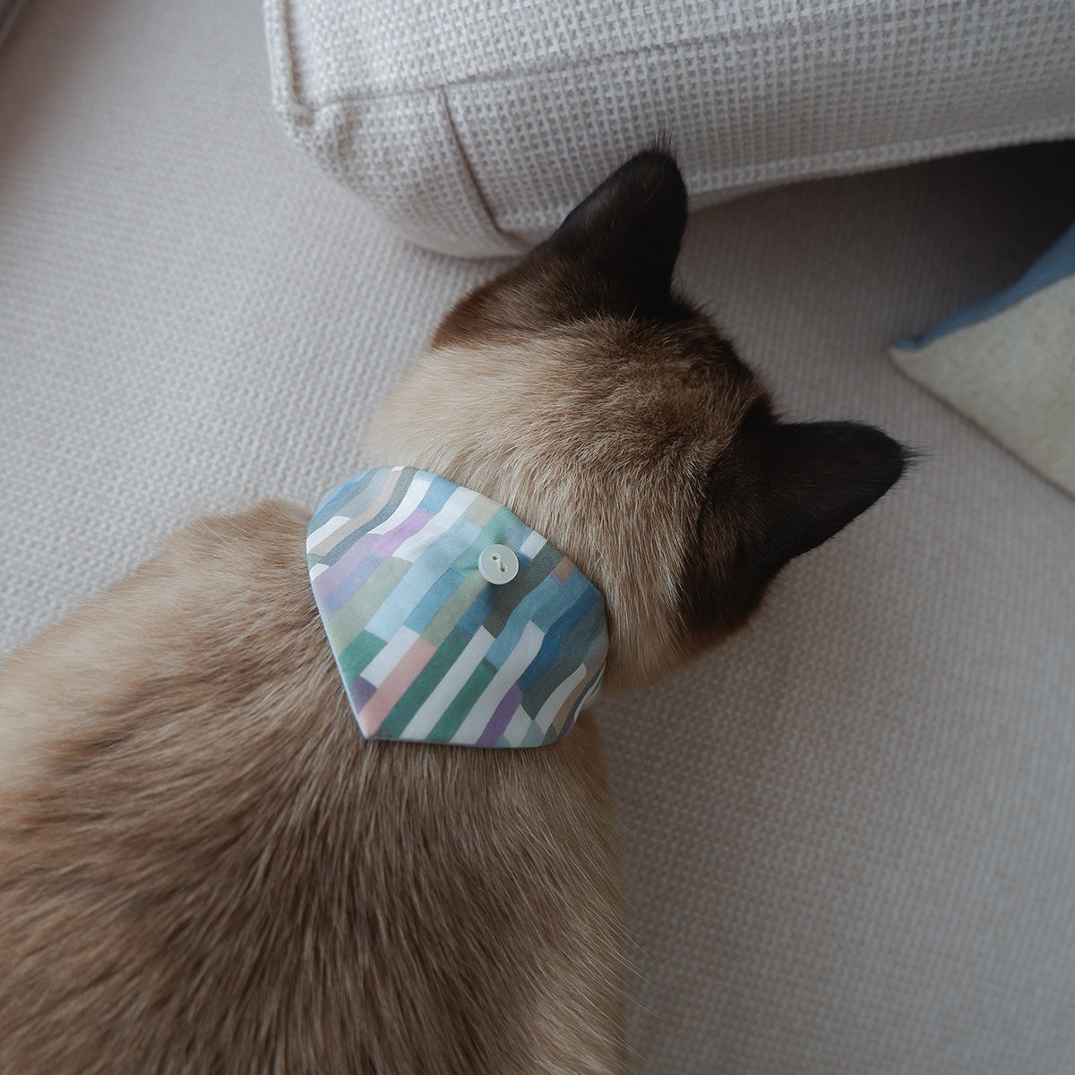 猫にやさしいスタイカラー【Liberty/Maksimus BU】