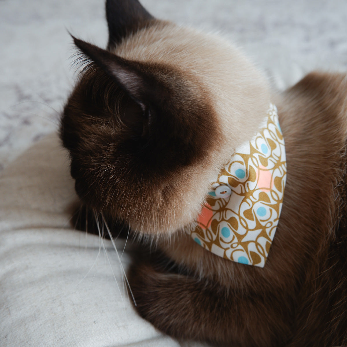 猫にやさしいスタイカラー【Liberty/Nouveau Brooch BU】