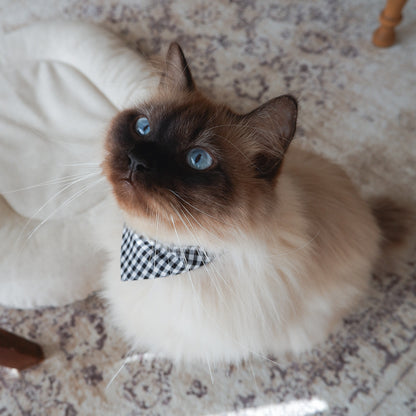 猫にやさしいスタイカラー【ギンガム/Black】