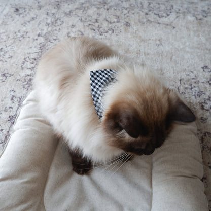 猫にやさしいスタイカラー【ギンガム/Black】