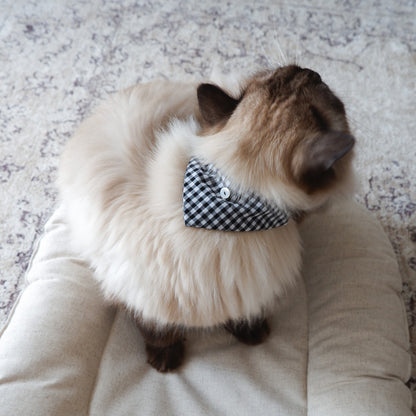 猫にやさしいスタイカラー【ギンガム/Black】