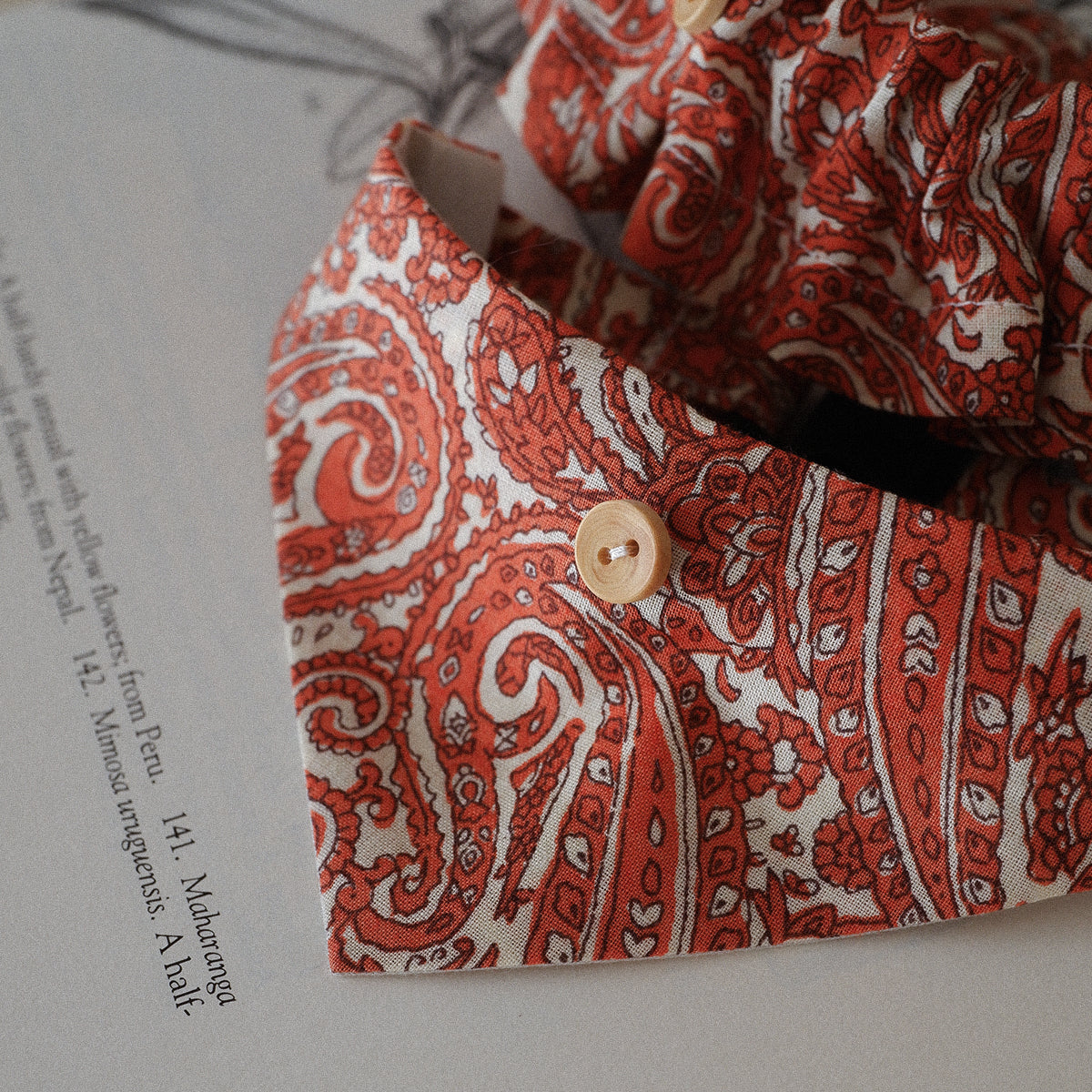 猫にやさしいスタイカラー【Paisley scarf/OR】