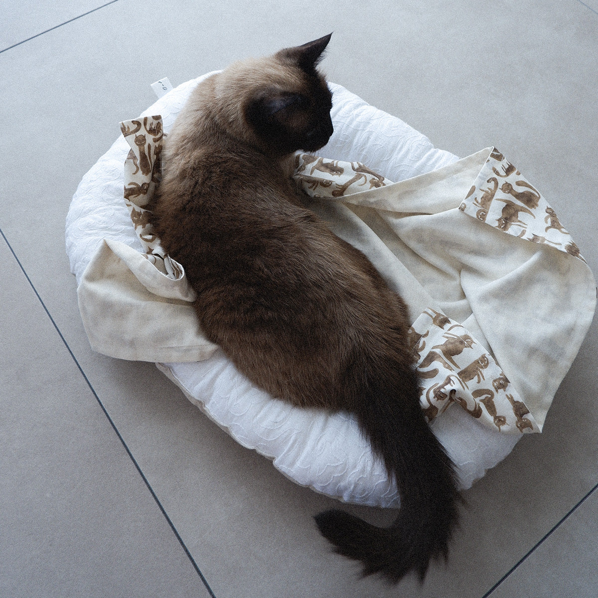 〈7/31発売〉Fabric Blanket（ファブリックブランケット）【Cheeky Cat/Blue】