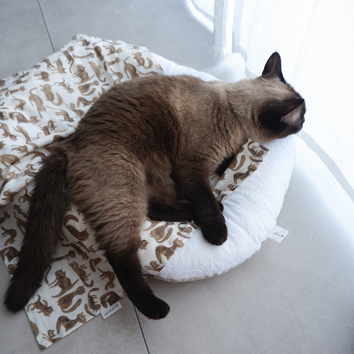 〈7/31発売〉Fabric Blanket（ファブリックブランケット）【Cheeky Cat/Blue】
