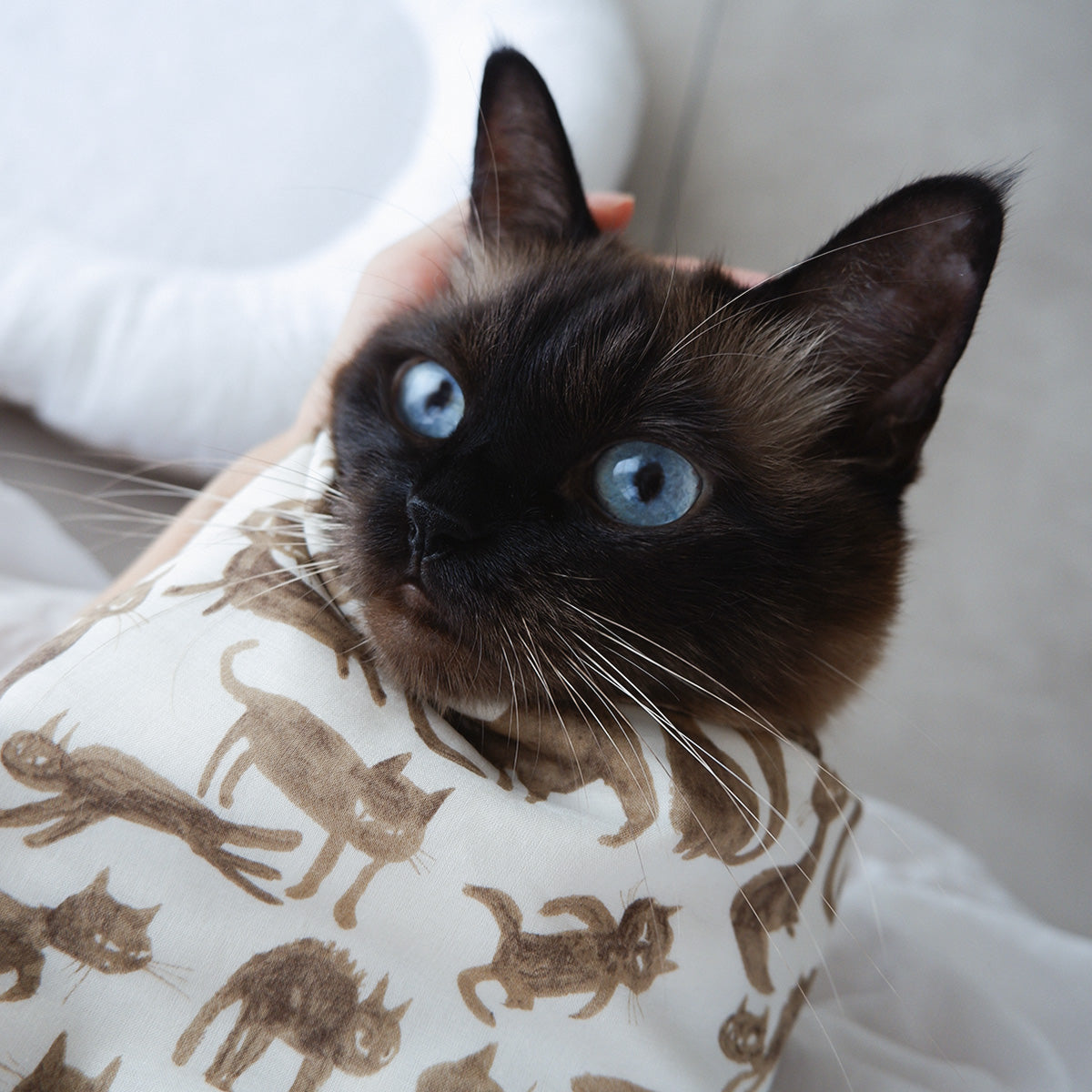 〈7/31発売〉Fabric Blanket（ファブリックブランケット）【Cheeky Cat/Beige】