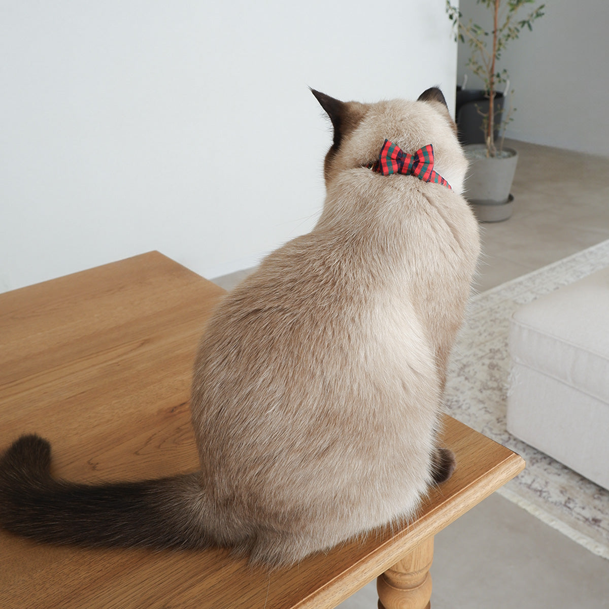 猫にやさしいコットン首輪/リボン【Tartan Red】