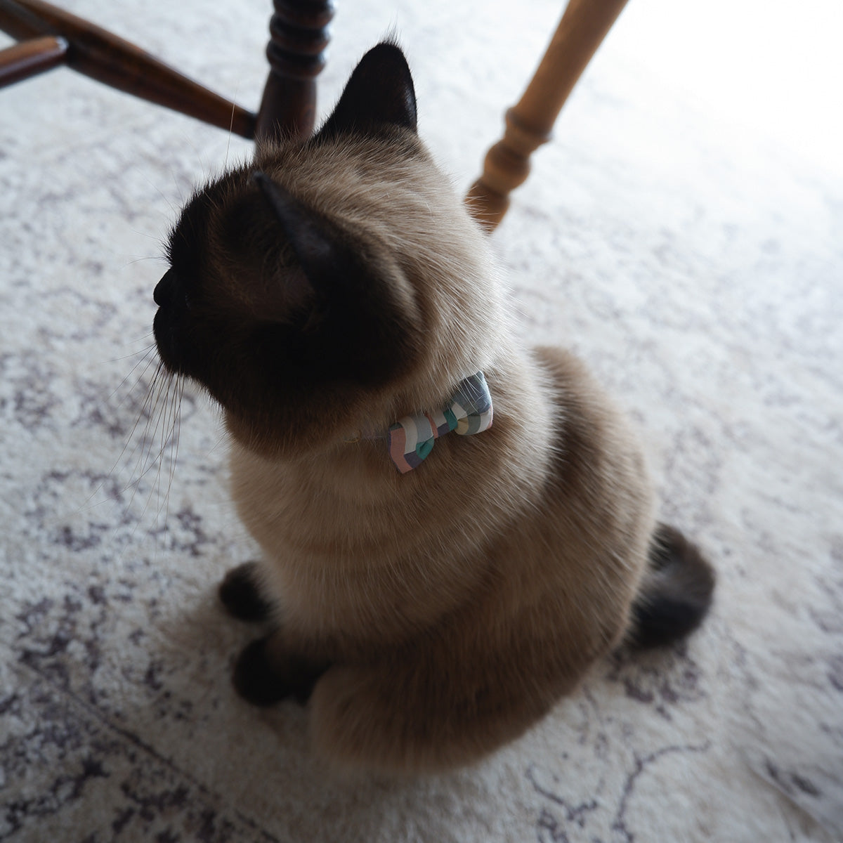 猫にやさしいコットン首輪/リボン【Liberty/Maksimus BU】