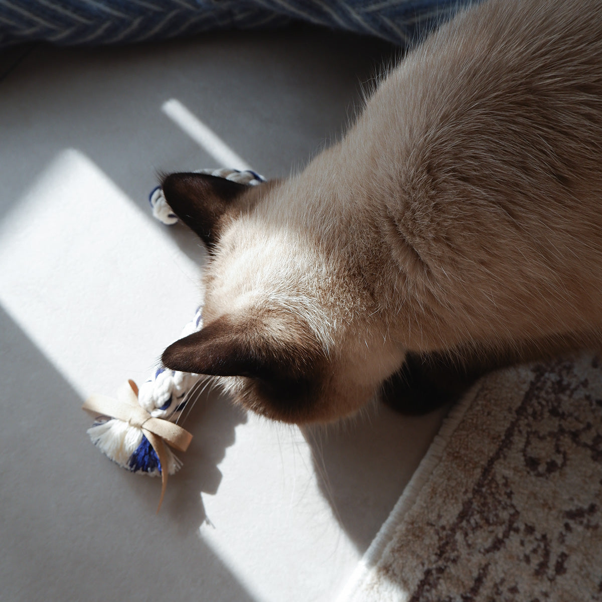 Candy Cane（キャンディケイン）ロープTOY【Navy】