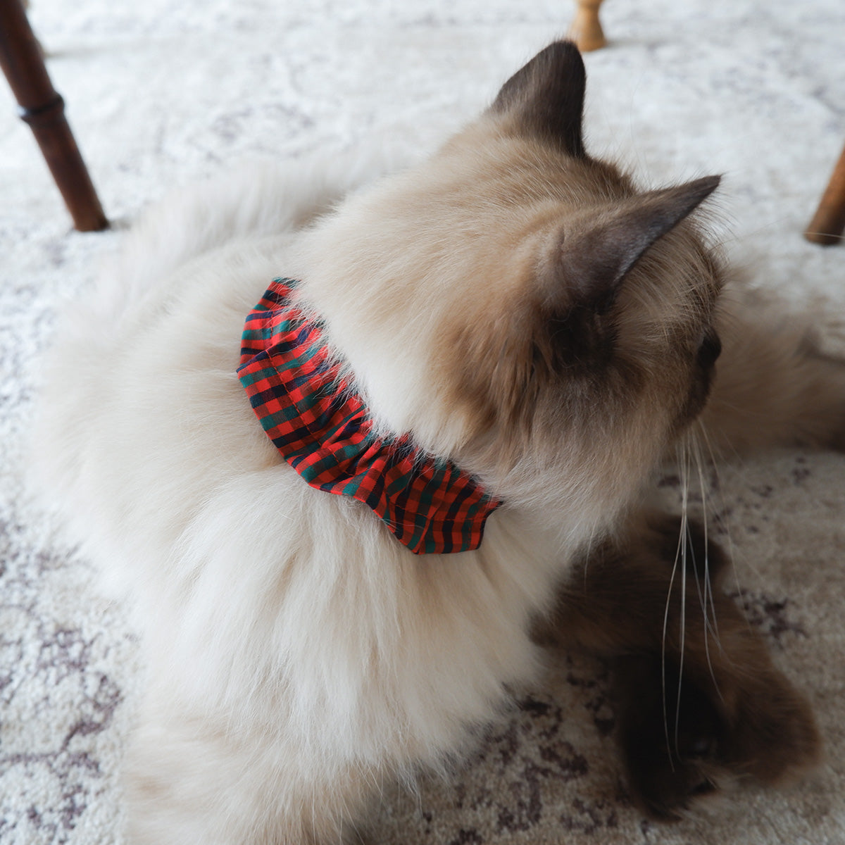 猫にやさしいコットン首輪/フリル【Tartan Red】