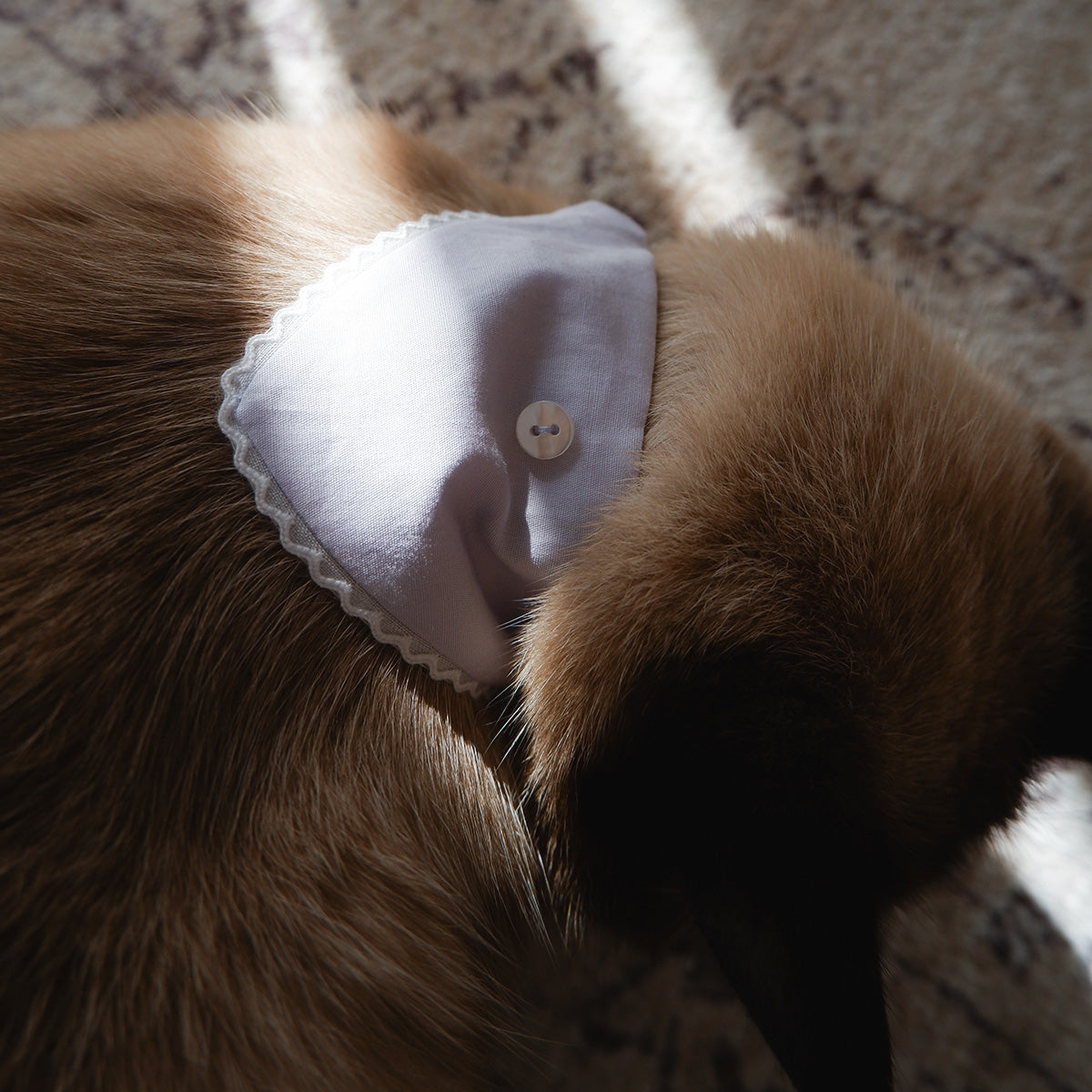 猫にやさしいスタイカラー【Trim Lace/ラベンダー】