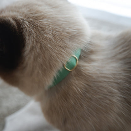 猫にやさしいコットン首輪/リボンなし【Leaf】