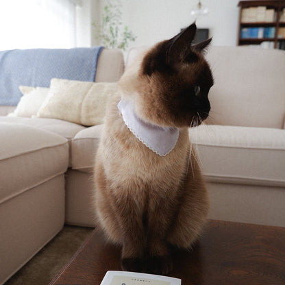 猫にやさしいスタイカラー【Trim Lace/ラベンダー】