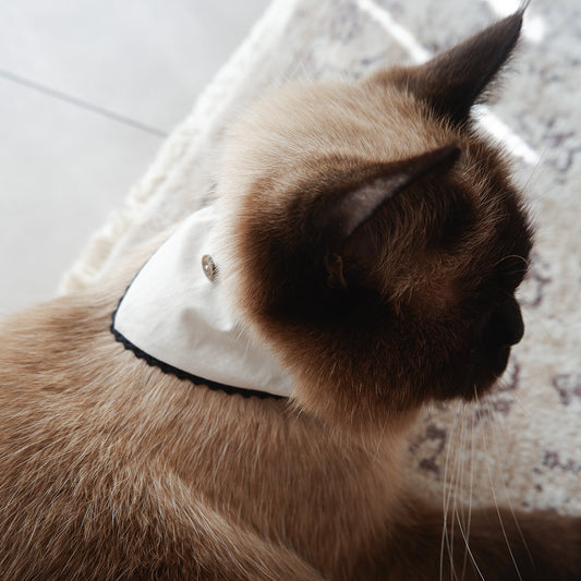 猫にやさしいスタイカラー【Trim Lace/マッシュルーム】