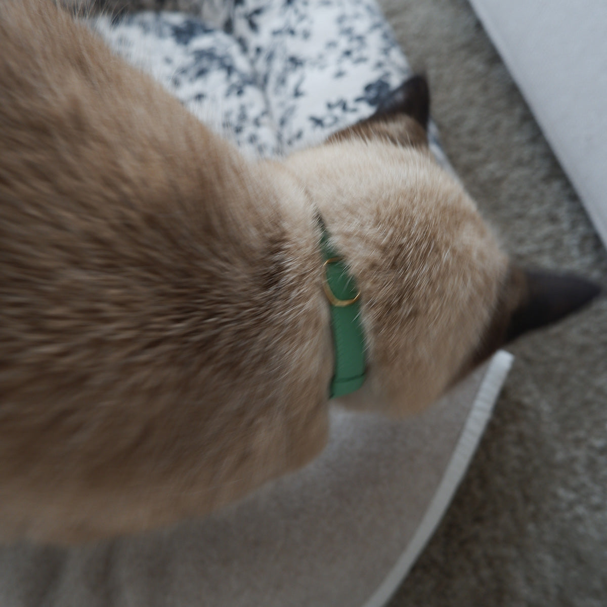 猫にやさしいコットン首輪/リボンなし【Leaf】