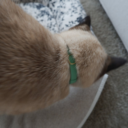 猫にやさしいコットン首輪/リボンなし【Leaf】