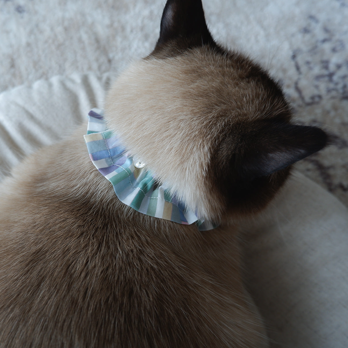 고양이 친화적인 코튼 목걸이/프릴【Liberty/Wimbrell Posy】