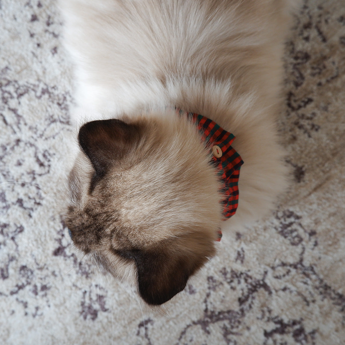 猫にやさしいコットン首輪/フリル【Tartan Red】