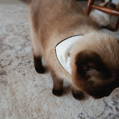 猫にやさしいスタイカラー【Trim Lace/マッシュルーム】