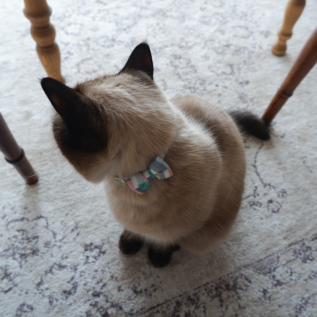 猫にやさしいコットン首輪/リボン【Liberty/Maksimus BU】