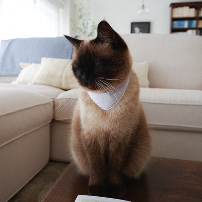 猫にやさしいスタイカラー【Trim Lace/ラベンダー】