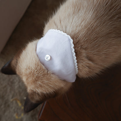 猫にやさしいスタイカラー【Trim Lace/ラベンダー】