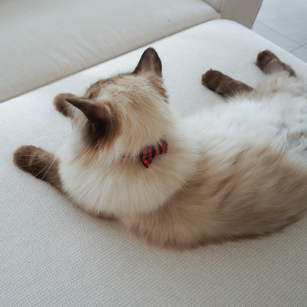 猫にやさしいコットン首輪/リボン【Tartan Red】