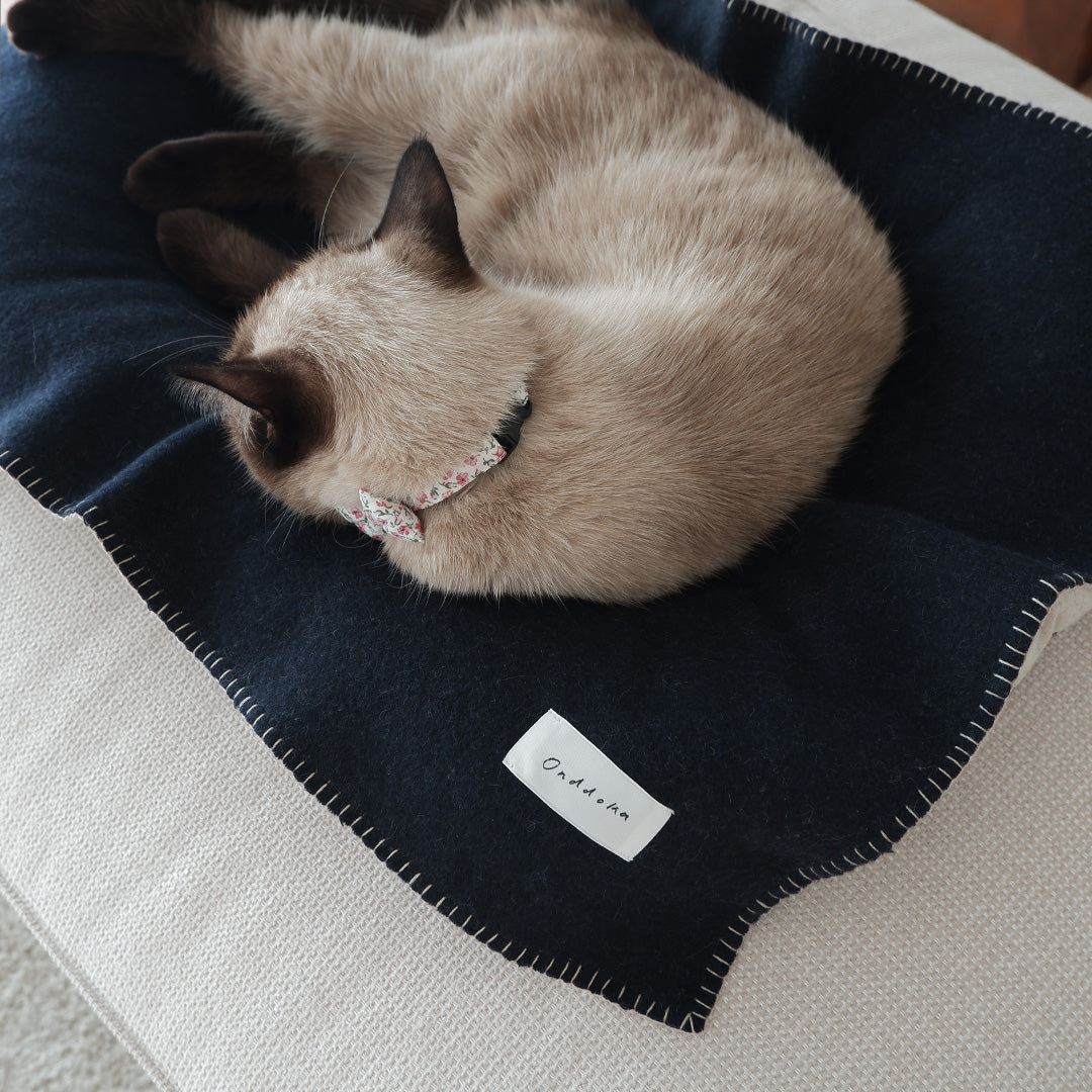 Cat ket / Reversible wool 【Navy/Beige】