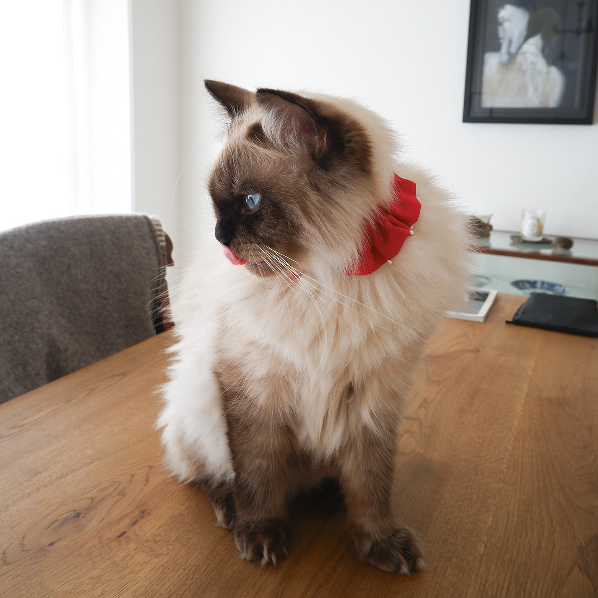 〈Comming soon〉クリスマス刺繍のコットン首輪/フリル