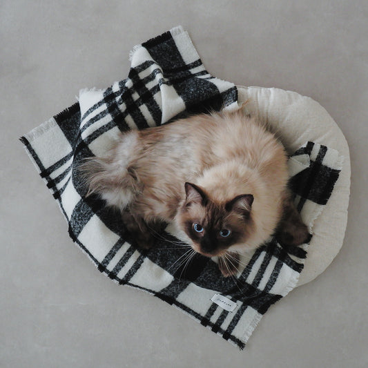 Wool Cat Blanket (ウールキャットブランケット)【チェックループツイード】