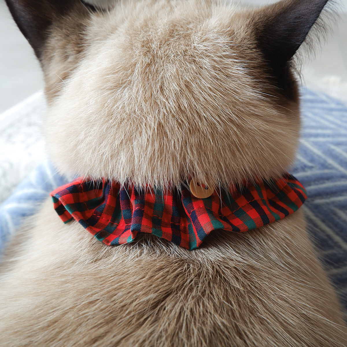猫にやさしいコットン首輪/フリル【Tartan Red】