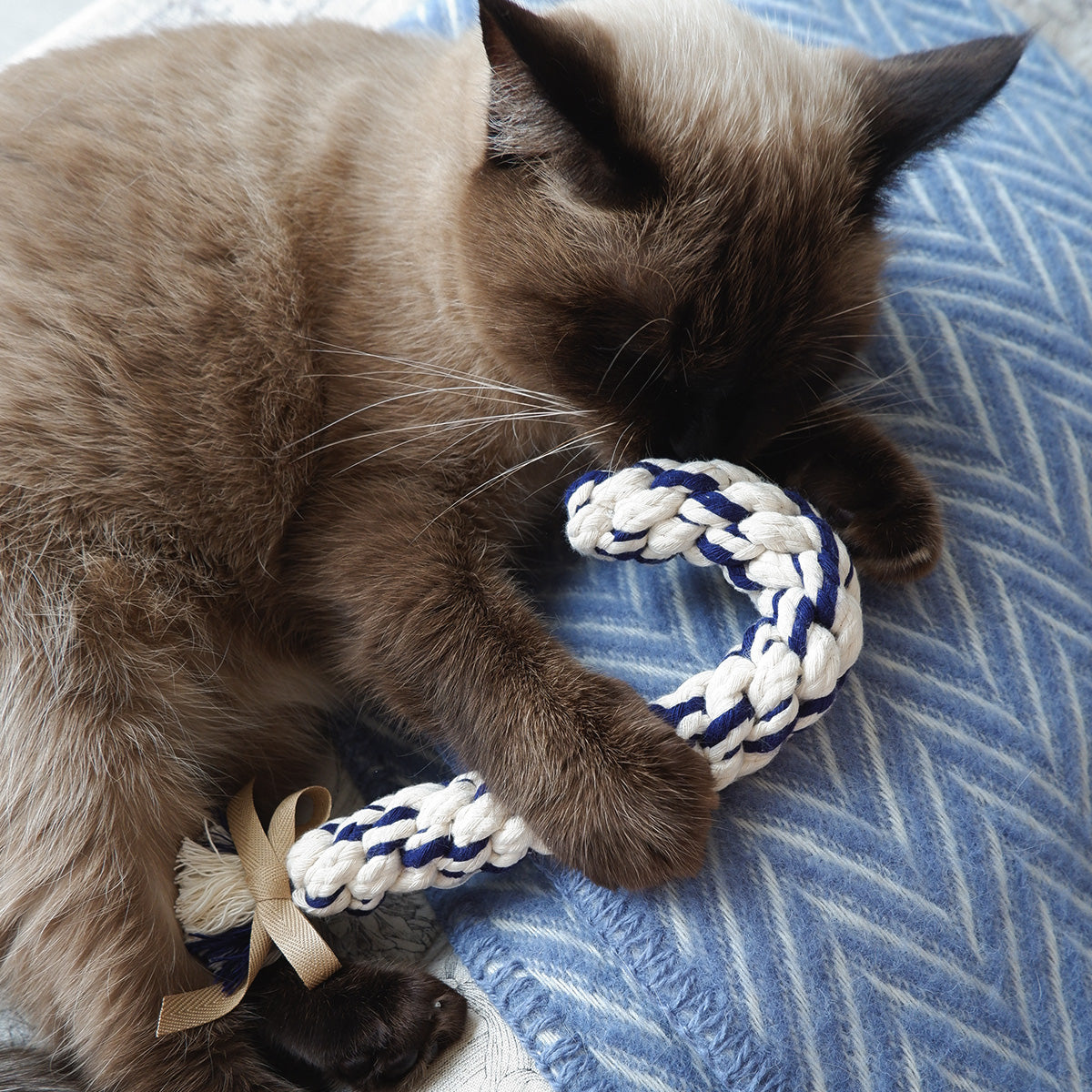 Candy Cane（キャンディケイン）ロープTOY【Navy】