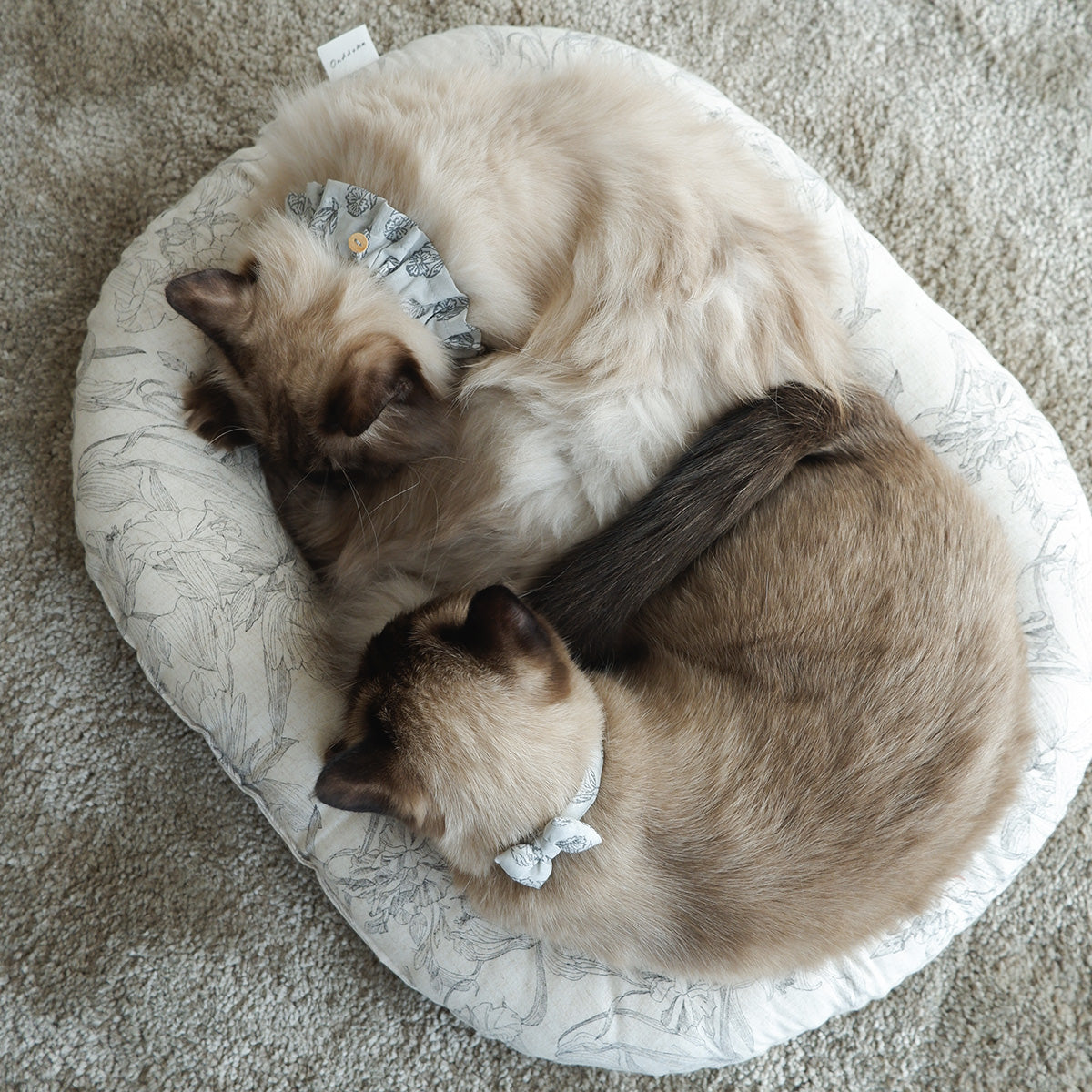 고양이 친화적인 코튼 목걸이/리본【도트미니언/마카롱】 