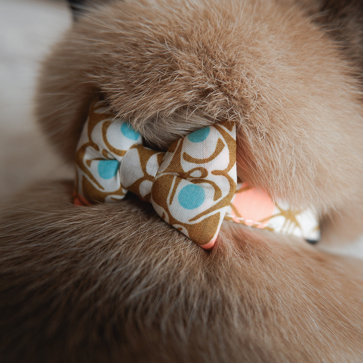 猫にやさしいコットン首輪/リボン【Liberty/Nouveau Brooch BU】｜猫の