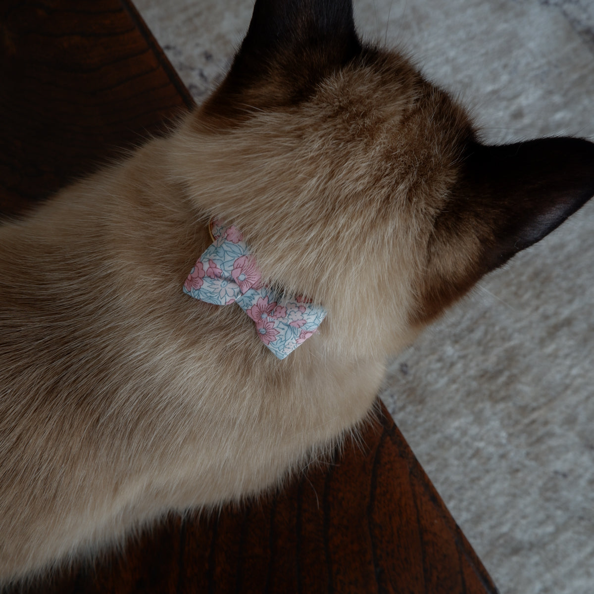 Cat-friendly cotton collar/ribbon [Liberty/Pink Poppy]