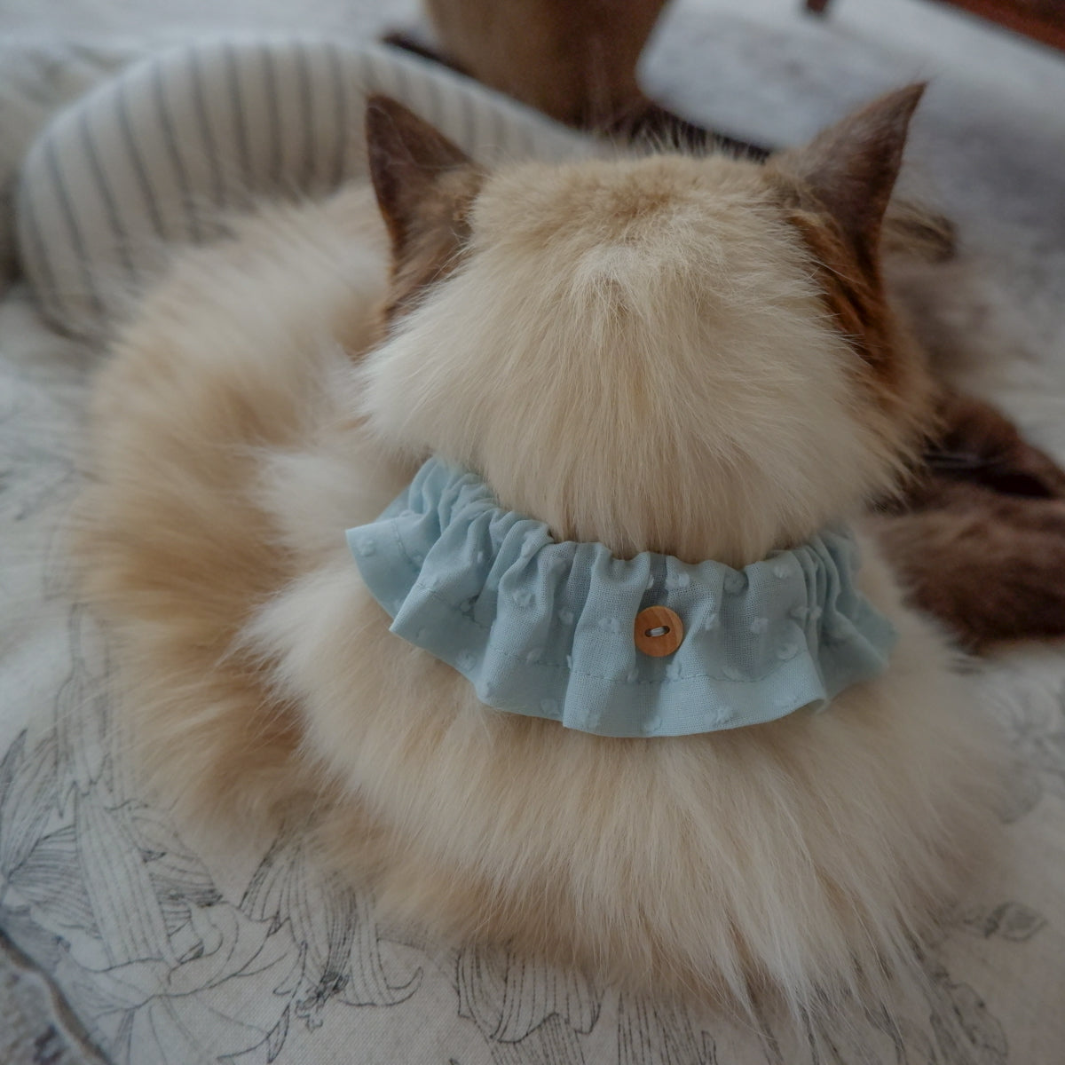 Cat-friendly cotton collar/ruffle [polka dot mignon/marigold] 