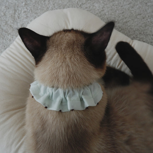 French knot embroidered ruffle collar [green] 