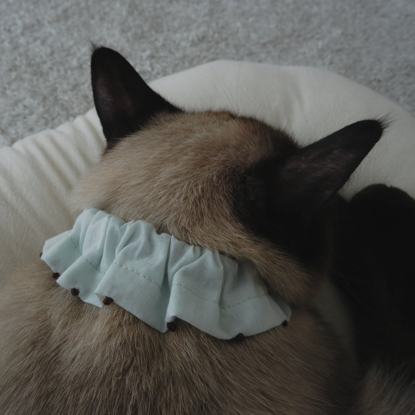 French knot embroidered ruffle collar [green] 