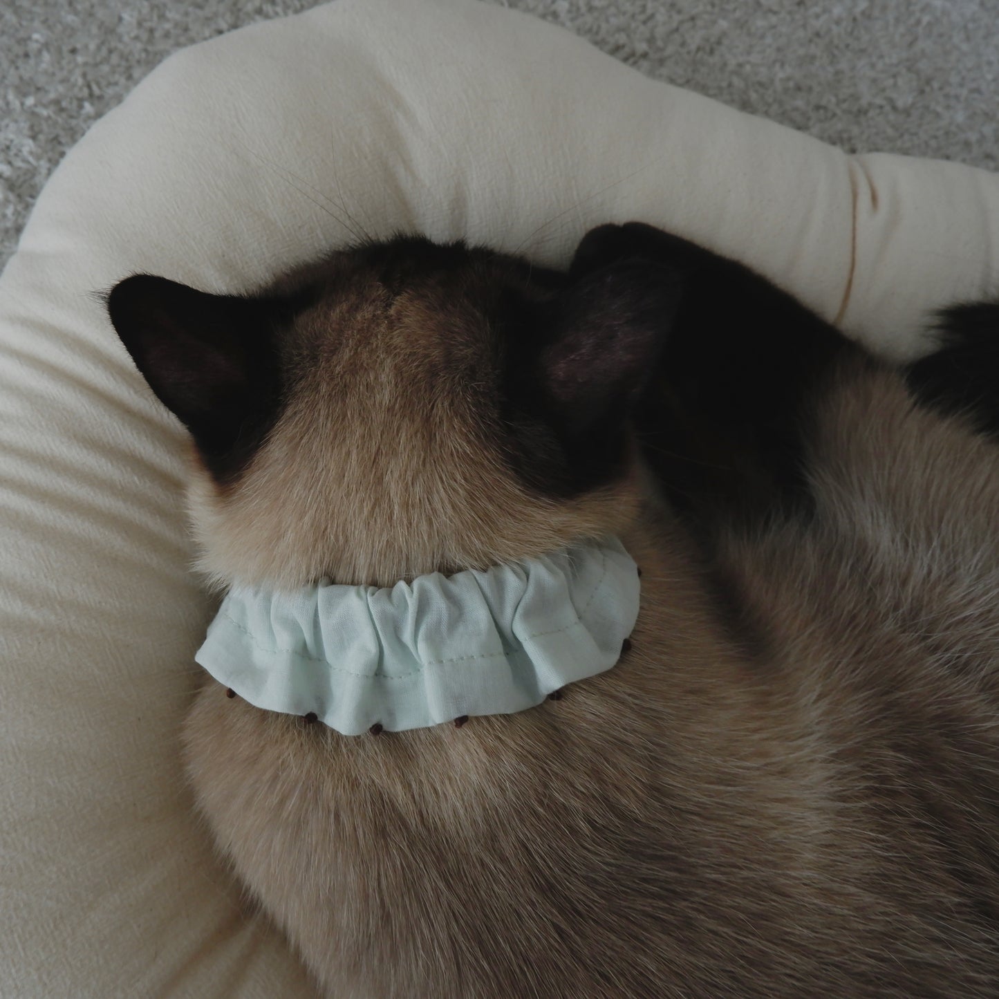 French knot embroidered ruffle collar [green] 