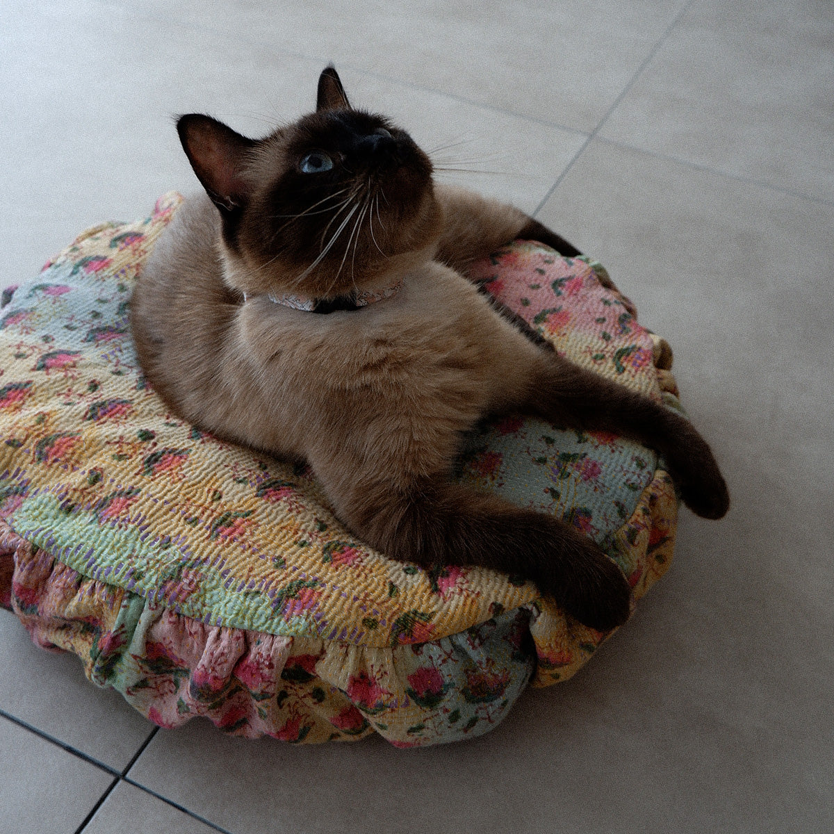 〈Vintage kantha quilt〉Pouf Cat Bed【Blue Flower-C】